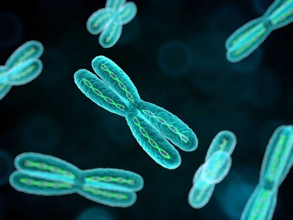 хромосома, микроделеционные синдромы